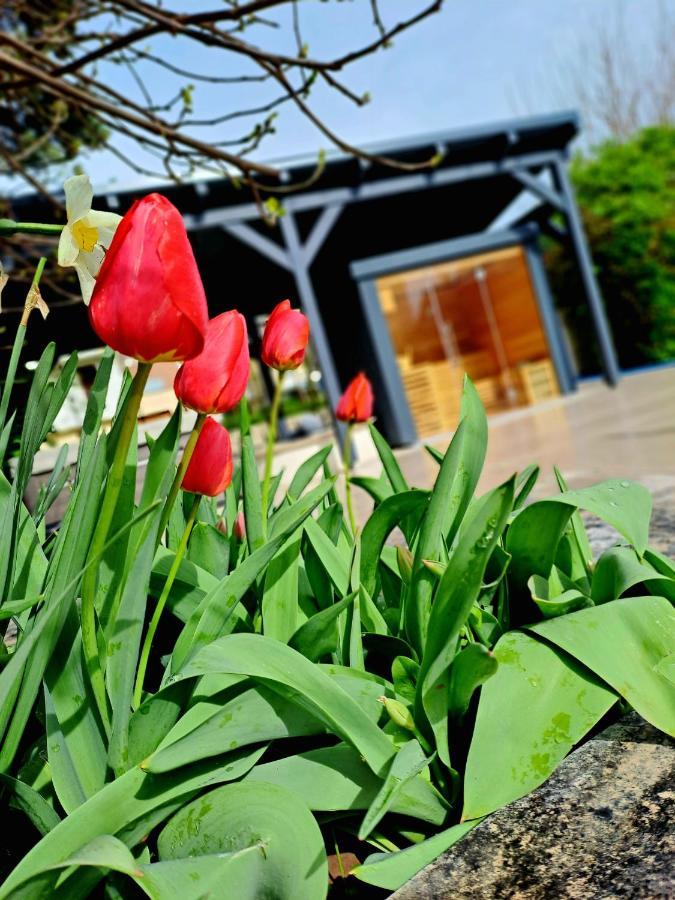 Fuege Villa Luxury & Wellness Balatonfüred Zewnętrze zdjęcie